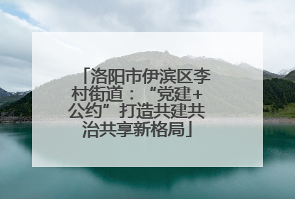 洛阳市伊滨区李村街道：“党建+公约”打造共建共治共享新格局
