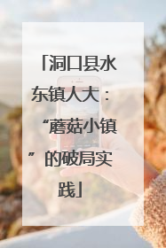 洞口县水东镇人大：“蘑菇小镇”的破局实践