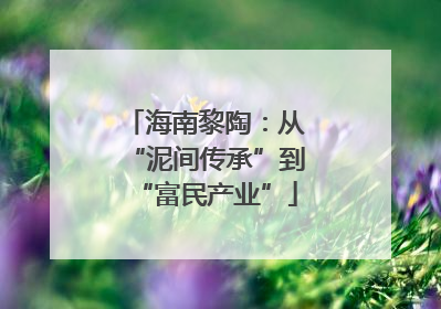 海南黎陶：从“泥间传承”到“富民产业”