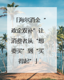 海尔消金“政企双补”让消费者从“想要买”到“买得起”