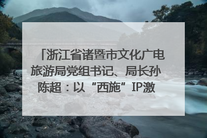 浙江省诸暨市文化广电旅游局党组书记、局长孙陈超：以“西施”IP激活全域旅游 打造县域文旅融合新标杆｜第七届全国县域旅游研究成果发布系列活动