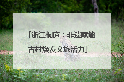 浙江桐庐：非遗赋能古村焕发文旅活力