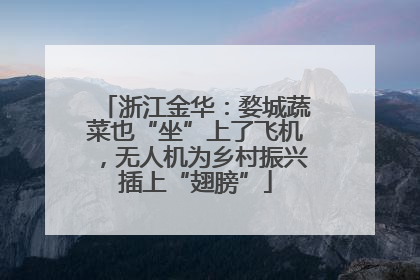 浙江金华：婺城蔬菜也“坐”上了飞机，无人机为乡村振兴插上“翅膀”