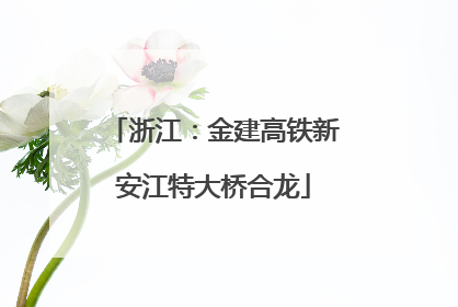 浙江：金建高铁新安江特大桥合龙