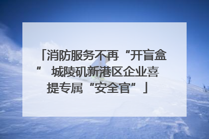 消防服务不再“开盲盒” 城陵矶新港区企业喜提专属“安全官”