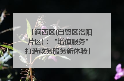 涧西区(自贸区洛阳片区)：“增值服务”打造政务服务新体验