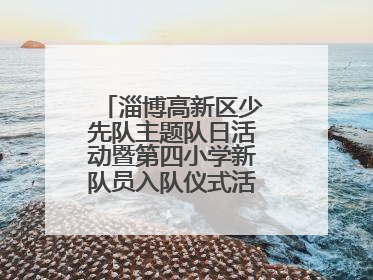 淄博高新区少先队主题队日活动暨第四小学新队员入队仪式活动圆满举行