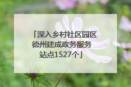 深入乡村社区园区 德州建成政务服务站点1527个