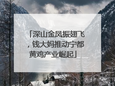深山金凤振翅飞，钱大妈推动宁都黄鸡产业崛起