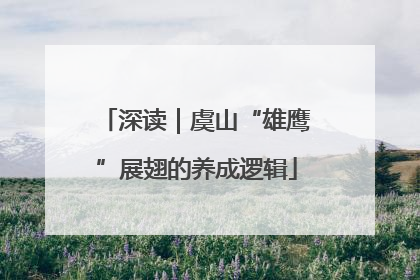 深读｜虞山“雄鹰”展翅的养成逻辑