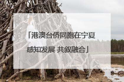 港澳台侨同胞在宁夏感知发展 共叙融合