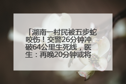 湖南一村民被五步蛇咬伤！交警26分钟冲破64公里生死线，医生：再晚20分钟或将呼吸肌麻痹