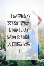 湖南成立文旅消费促进会 助力湖南文旅融入国际市场
