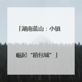 湖南蓝山：小镇崛起“箱包城”