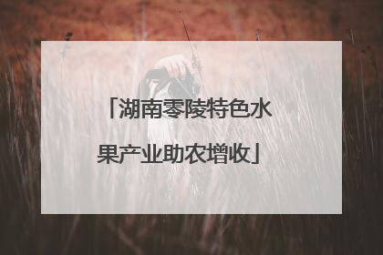 湖南零陵特色水果产业助农增收