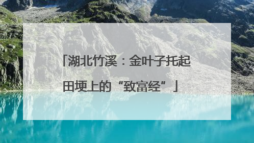 湖北竹溪：金叶子托起田埂上的“致富经”