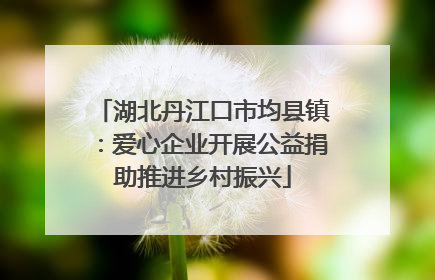 湖北丹江口市均县镇：爱心企业开展公益捐助推进乡村振兴