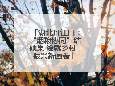 湖北丹江口:“烟粮协同”结硕果 绘就乡村振兴新画卷
