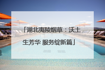 湖北夷陵烟草：沃土生芳华 服务绽新篇