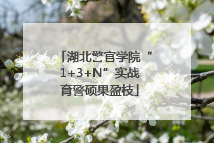 湖北警官学院“1+3+N”实战育警硕果盈枝