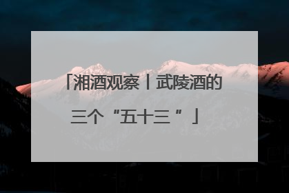 湘酒观察丨武陵酒的三个“五十三 ”