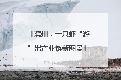 滨州：一只虾“游”出产业链新图景