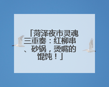 菏泽夜市灵魂三重奏：红柳串、砂锅，烫嘴的馄饨！