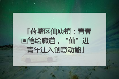 荷塘区仙庾镇：青春画笔绘廊道，“仙”进青年注入创意动能