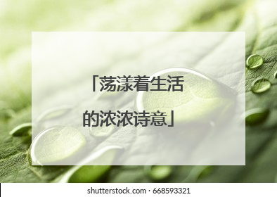 荡漾着生活的浓浓诗意