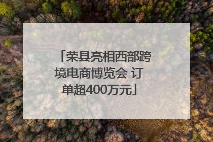 荣县亮相西部跨境电商博览会 订单超400万元