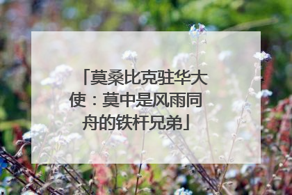 莫桑比克驻华大使：莫中是风雨同舟的铁杆兄弟