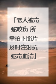 老人被毒蛇咬伤 所幸拍下照片及时注射抗蛇毒血清