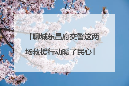 聊城东昌府交警这两场救援行动暖了民心