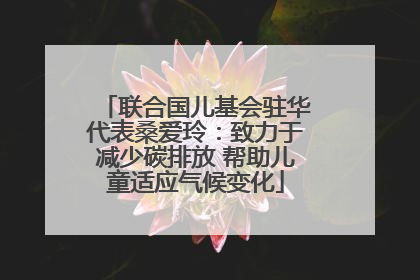 联合国儿基会驻华代表桑爱玲：致力于减少碳排放 帮助儿童适应气候变化