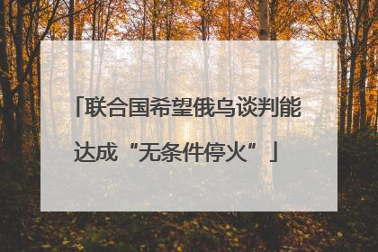 联合国希望俄乌谈判能达成“无条件停火”
