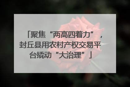 聚焦“两高四着力”，封丘县用农村产权交易平台撬动“大治理”