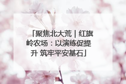 聚焦北大荒｜红旗岭农场：以演练促提升 筑牢平安基石