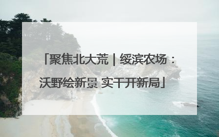 聚焦北大荒｜绥滨农场：沃野绘新景 实干开新局