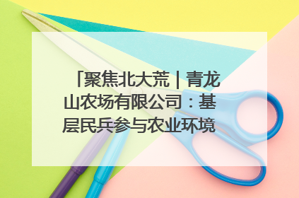 聚焦北大荒｜青龙山农场有限公司：基层民兵参与农业环境综合治理显效