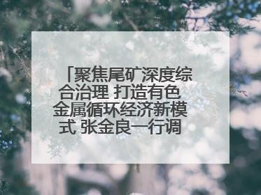 聚焦尾矿深度综合治理 打造有色金属循环经济新模式 张金良一行调研栾川县尾矿库综合治理工作