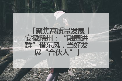 聚焦高质量发展丨安徽滁州：“融圈进群”借东风，当好发展“合伙人”