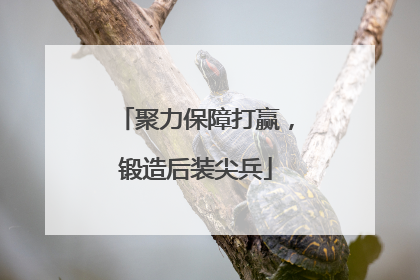 聚力保障打赢，锻造后装尖兵