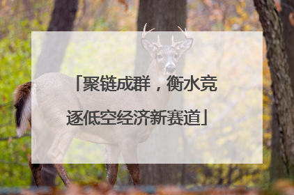 聚链成群，衡水竞逐低空经济新赛道