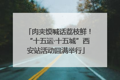 肉夹馍喊话荔枝鲜！“十五运·十五城”西安站活动圆满举行