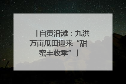 自贡沿滩：九洪万亩瓜田迎来“甜蜜丰收季”