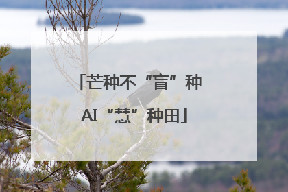 芒种不“盲”种 AI“慧”种田