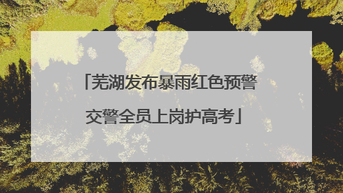 芜湖发布暴雨红色预警 交警全员上岗护高考