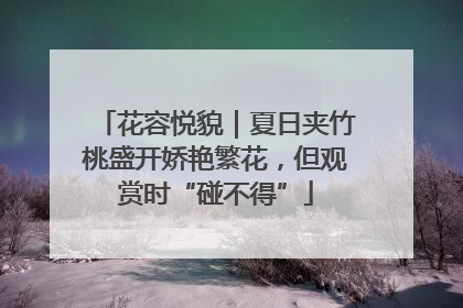 花容悦貌｜夏日夹竹桃盛开娇艳繁花，但观赏时“碰不得”