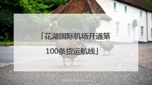 花湖国际机场开通第100条货运航线