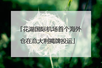 花湖国际机场首个海外仓在意大利揭牌投运